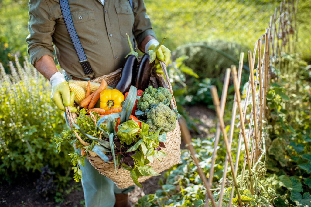 Holding basket with vegetables